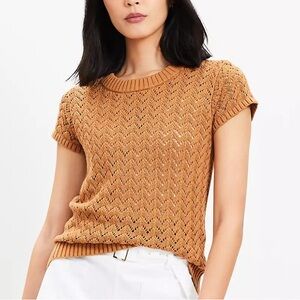 Chevron Pointelle Knit Sweater Tee